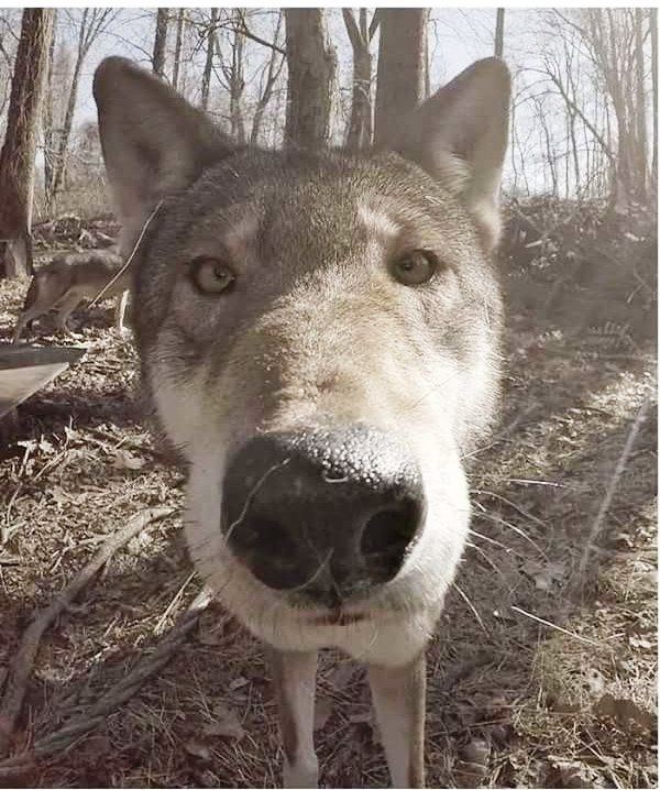 Наркоманских анекдотов с картинками