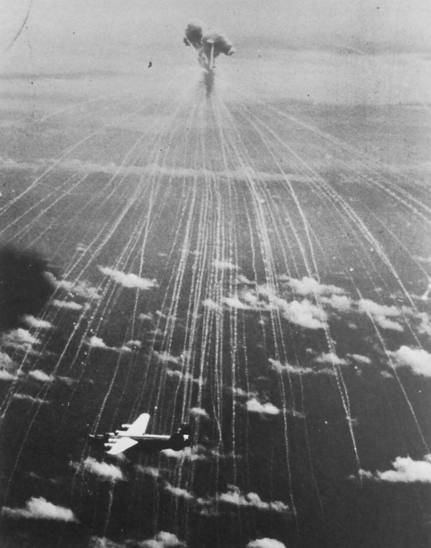 История в фотографиях