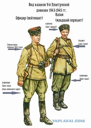 За что так не любят казаков?