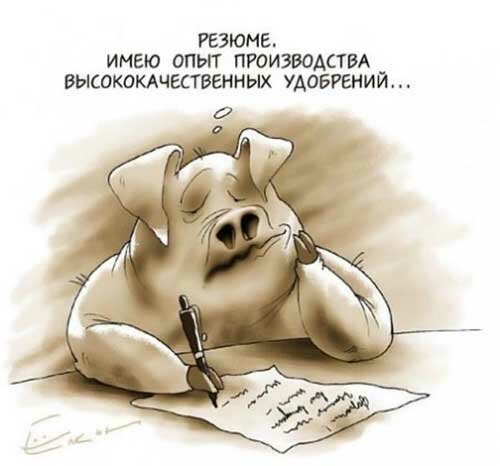 Так себе картинки #15