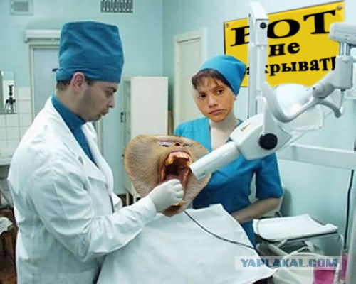 Фотожаба: Не совать!