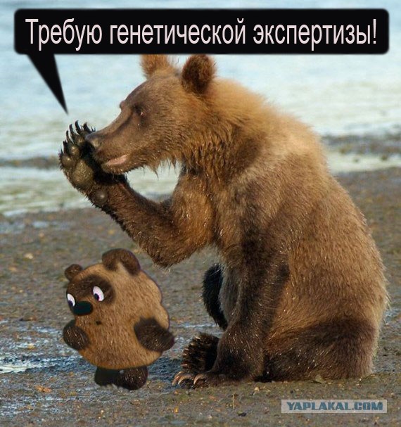 Маша-а-а!Аууууу!