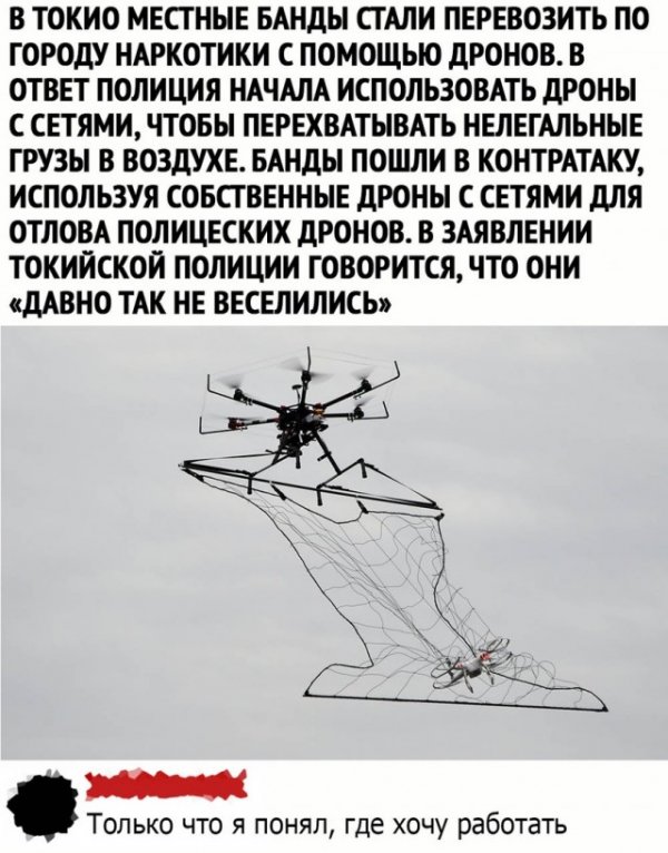 Прикольные и просто красивые картинки 19.11.2020