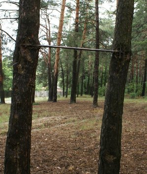 В Ростовской области парень крутился, как волчок на турнике, но в какой-то момент перекладина отвалилась