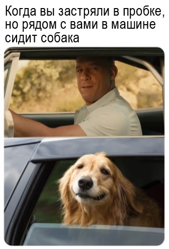 Ситуации из жизни