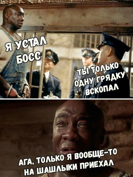 Весёлый полтишок 8.06.21