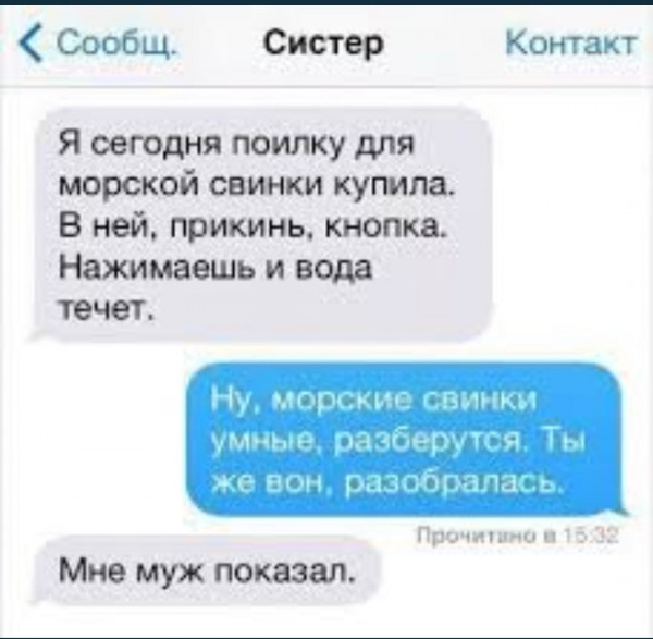 Весёлый полтишок 16.12