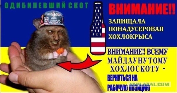 Шойгу рассказал о готовящейся американцами военной провокации на востоке Украины