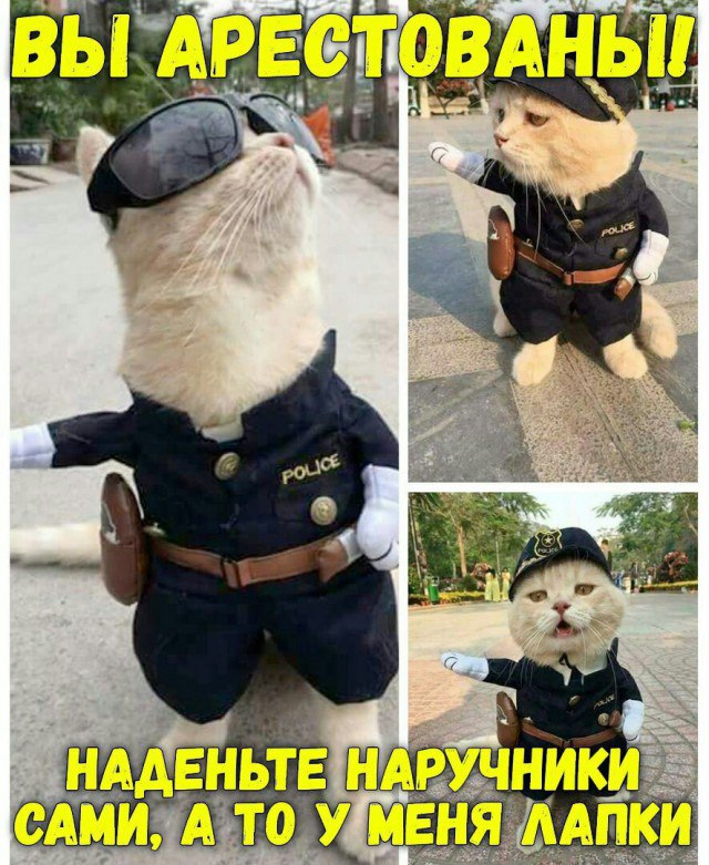 Да что же это такое-то, А?