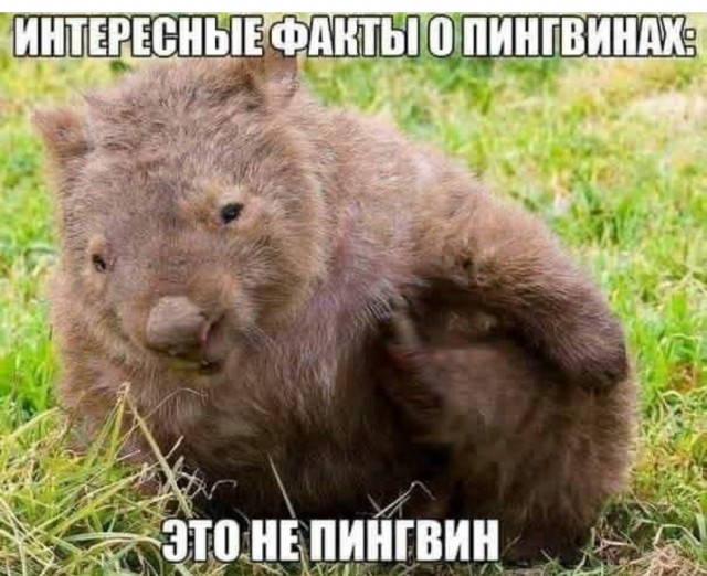 Немного картинок и прочей хреноты Vol. 6