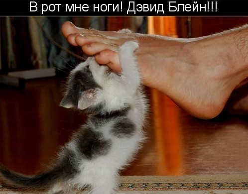 Вот где настоящая магия!