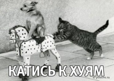 Мария Алехина сбежала из России, сломав электронный браслет