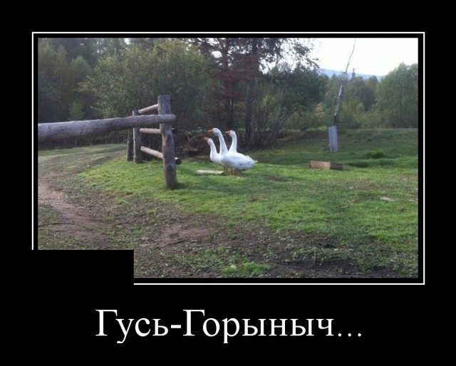 Немного картинок 19.06.22