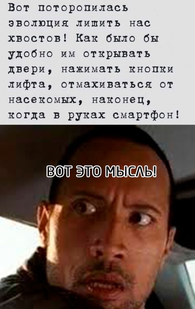 Весёлый полтишок 11.08.22