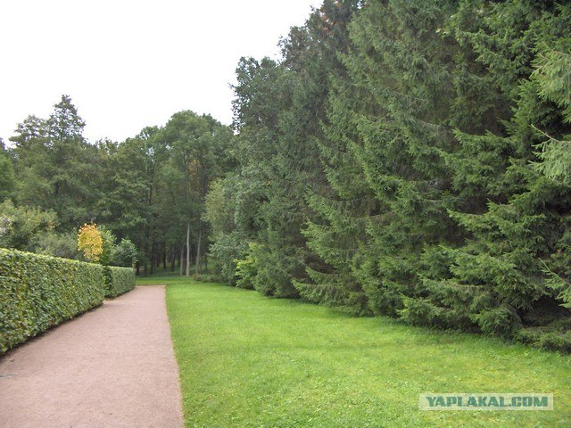 Деревенская Америка
