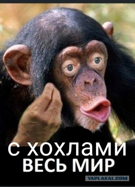 Обращение Путина к народу 30 сентября в 15:00