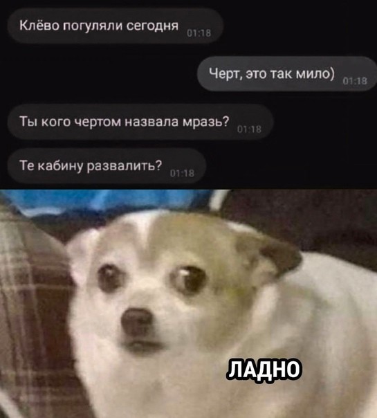 Скриншоты и комментарии из социальных сетей 06.01.23