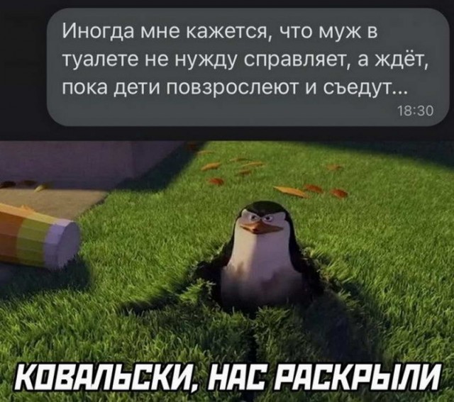 Картинки и мемы, выходные продолжаются