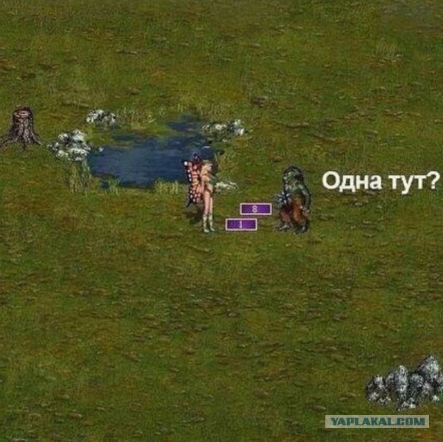 Народная меДИЧина 7016