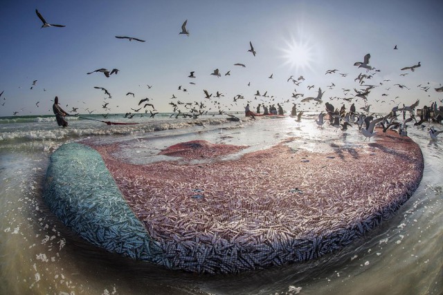 Немного картинок для настроения - 133