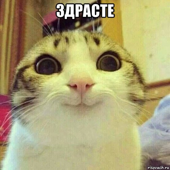 Новый взгяд на старый-добрий мем