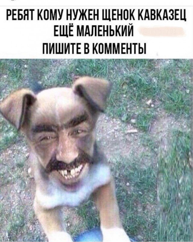 Третья подборка самых баянистых баянов! Ностальгируем...