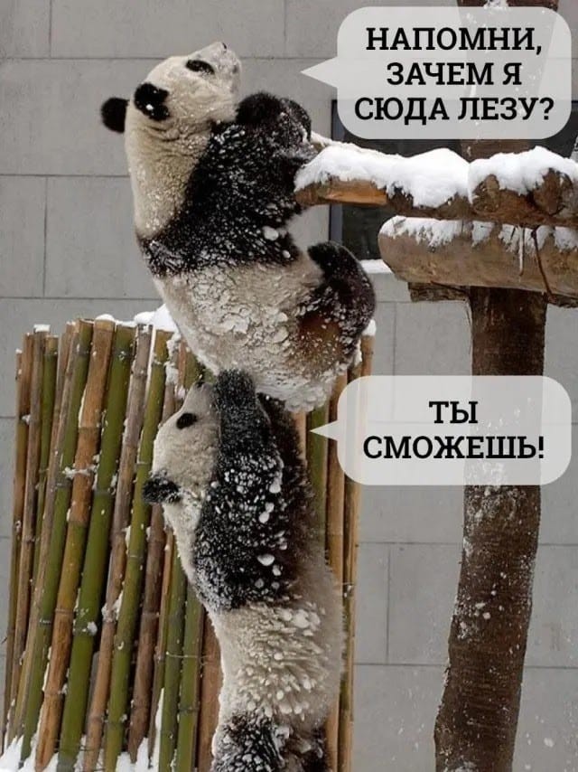 Никогда не сдавайся!