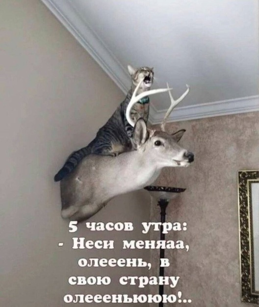 Осторожно, крышечка некрепко держится