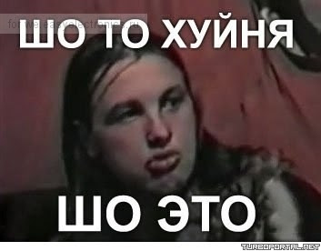 В Дагестане мужик оскорбил в прямом эфире местных жителей