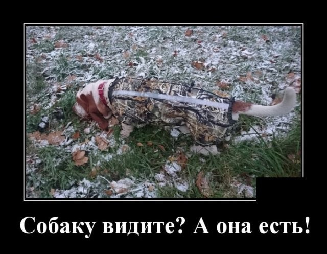 Так себе картинки 13.07.24