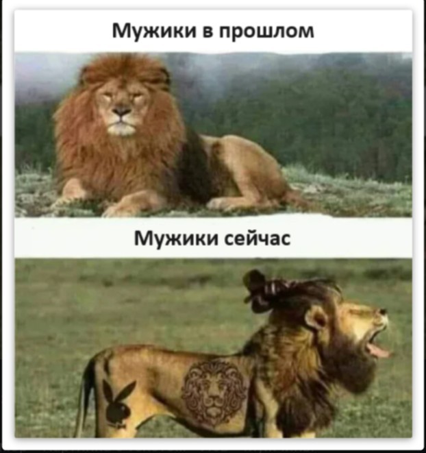 Прикольные и просто красивые картинки 26.11.2024