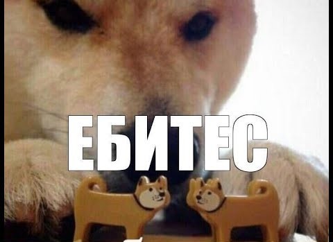 А кто Новый Год дома будет отмечать без гостей?