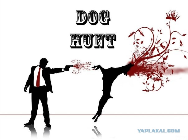 Инициатива о безнадзорных собаках набрала 100% голосов!