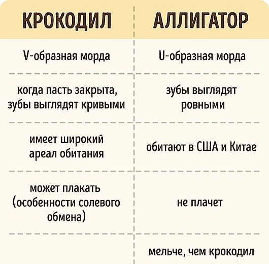 Иногда это мы путаем