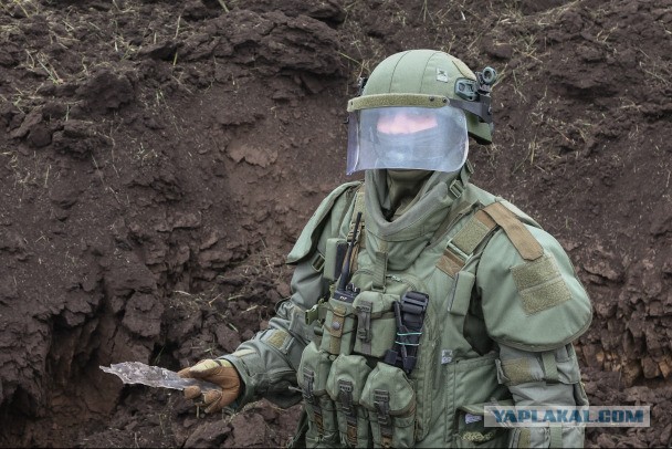 Воронежец, обвиняемый в убийстве жены в лесу под Лисками, ушёл на СВО