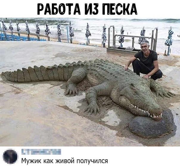 Картинки для деградации 12 (разной степени свежести)