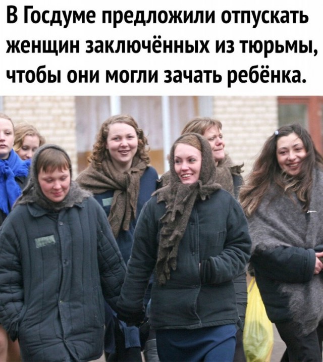 Так себе картинки 28.08.25