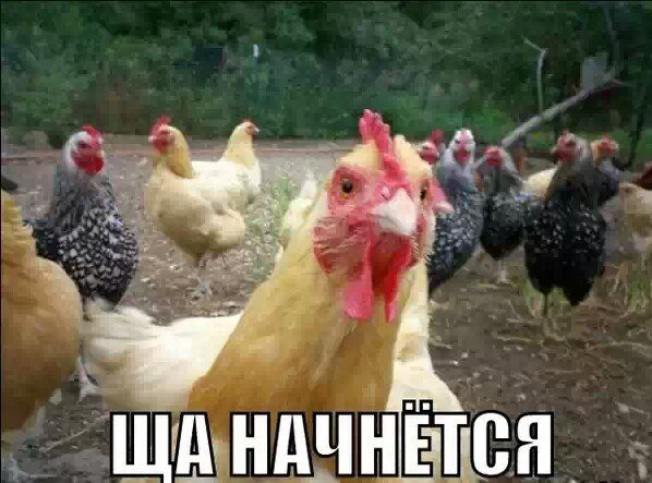 Познакомлюсь с хорошенькой женщиной