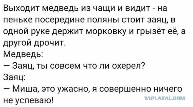 Анекдоты с бородой и депиляцией