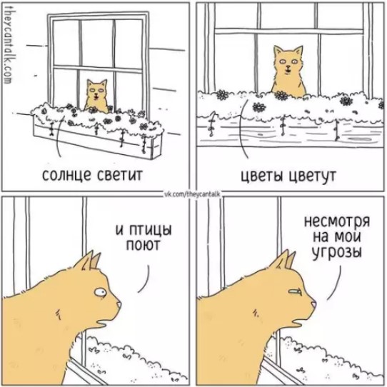 Котямбосы