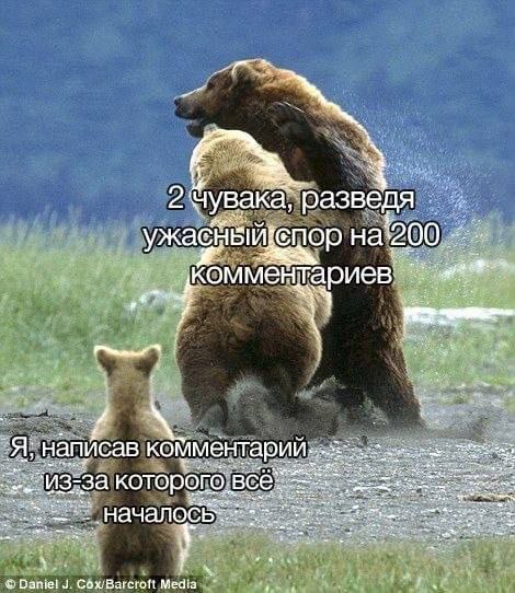Картинки для деградации 170 (разной степени свежести)