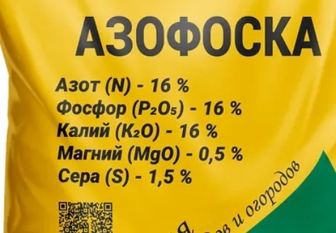 Про "сильных женщин"