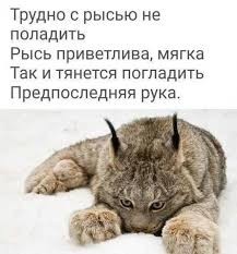 У тебя лишняя рука?