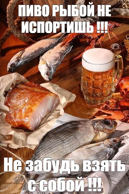 Перевод с женского⁠⁠
