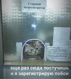 Отсутствие морально этических норм Vol.98