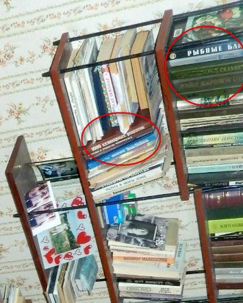 Лазил тут по социальной сети и набрёл