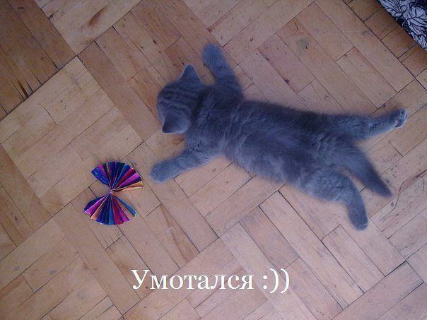 Немного позитива на пятницу.