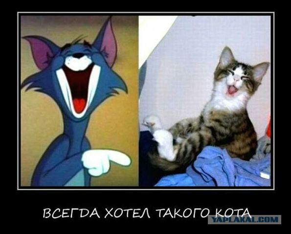 Поднимаем настроение