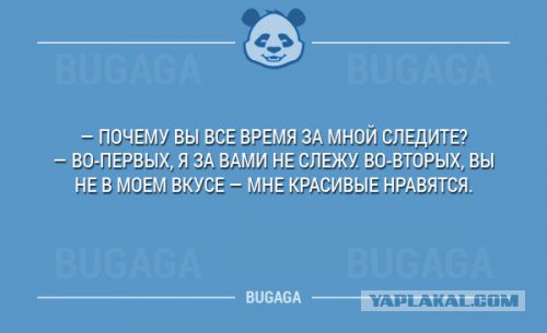 Весёлые картинки