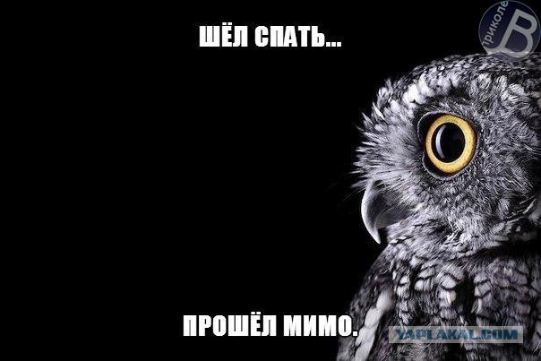 Королева дискотек